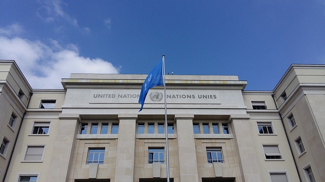 organisation nations unies