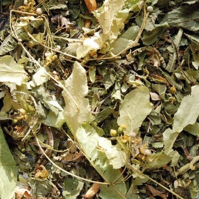 tisane relaxante la route des comptoirs