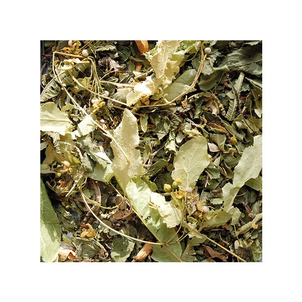 tisane relaxante la route des comptoirs